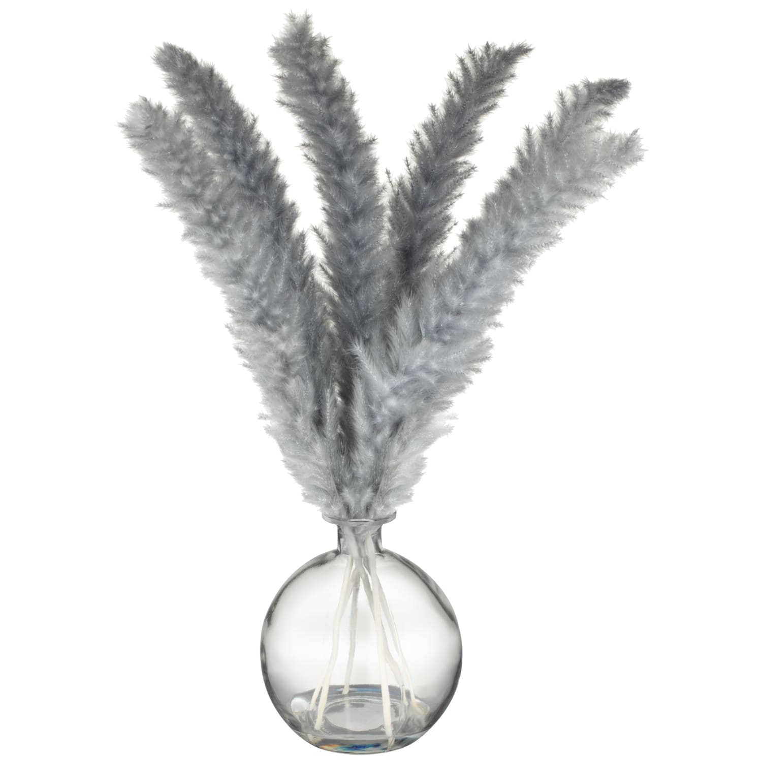 Grey Pampas In Glass Vase